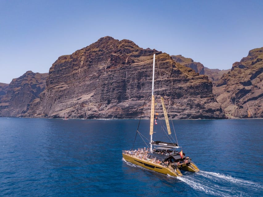 Costa Adeje: Masca and Los Gigantes Whale Watching Cruise - How the $71 price compares