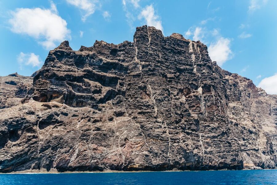 Costa Adeje: Masca and Los Gigantes Whale Watching Cruise - Practical details before you go