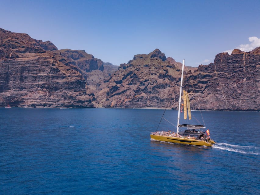 Costa Adeje: Masca and Los Gigantes Whale Watching Cruise - Searching for dolphins and pilot whales