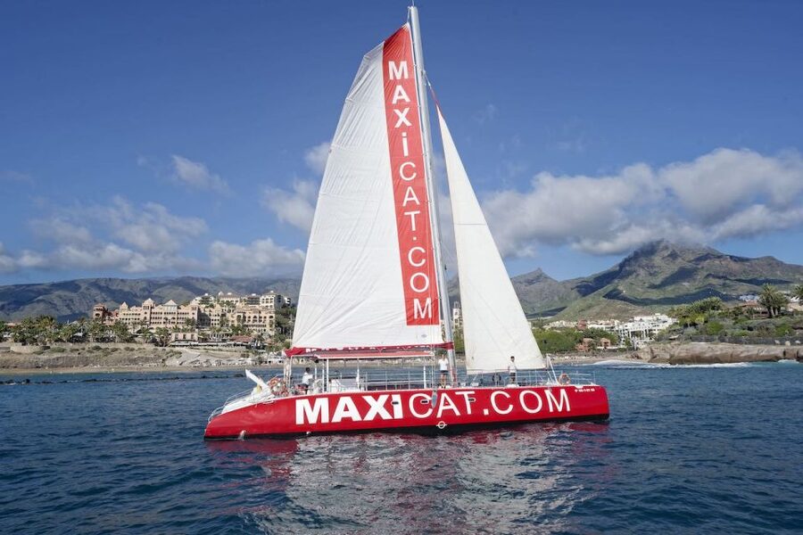 Costa Adeje: Whale and Dolphin Cruise with Food and Pickup - Setting out from Puerto Colon on the Maxicat