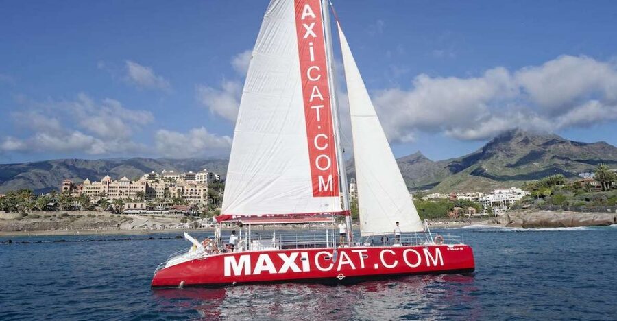 Costa Adeje: Whale and Dolphin Cruise with Food and Pickup - A swimming stop at Diego Hernandez Bay