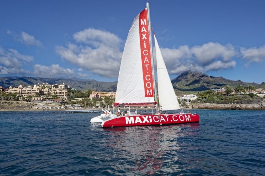 Costa Adeje: Whale and Dolphin Cruise with Food and Pickup - Is $46 good value?