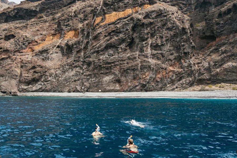 Costa Adeje: Whale & Dolphin Eco-Cruise with Snacks & Drinks - Setting sail from Puerto Colón