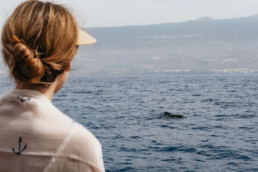 Costa Adeje: Whale & Dolphin Eco-Cruise with Snacks & Drinks - Underwater sounds and the quieter side of the trip