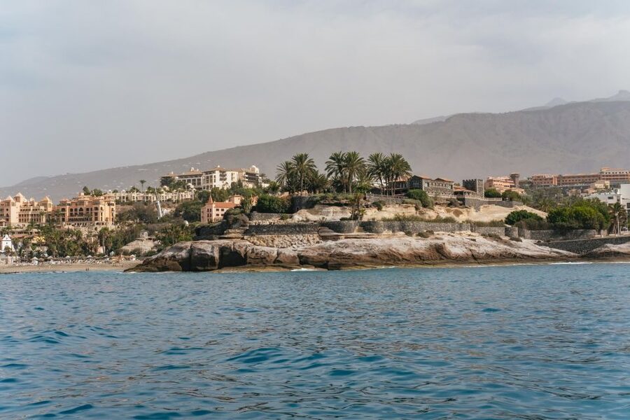 Costa Adeje: Whale & Dolphin Eco-Cruise with Snacks & Drinks - Three hours or five hours?