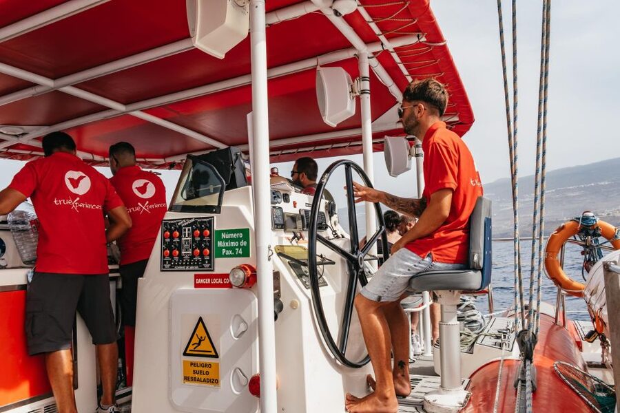 Costa Adeje: Whale & Dolphin Eco-Cruise with Snacks & Drinks - Is the $52 price good value?