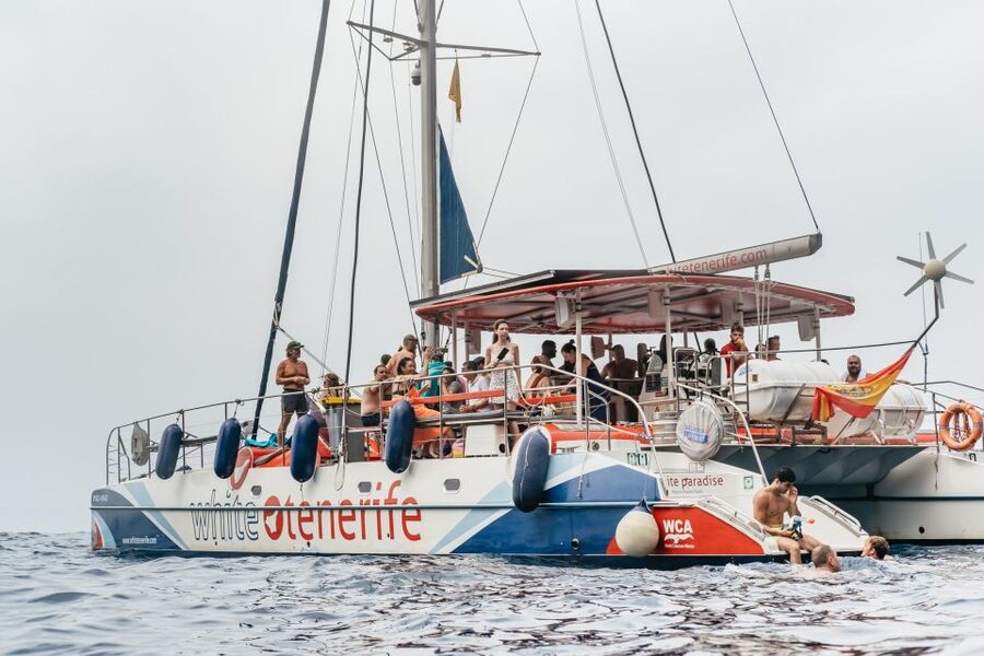 Costa Adeje: Whale & Dolphin Eco-Cruise with Snacks & Drinks - Watching whales in the Teno-Rasca Whale Sanctuary
