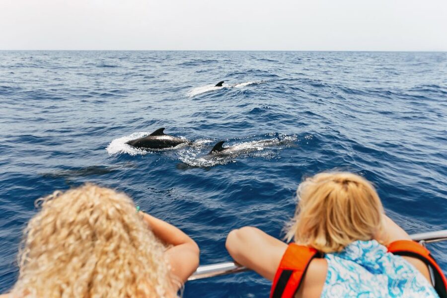Costa Adeje: Whale Watching Catamaran Tour with Drinks - Why Tenerife is one of Europe’s easiest places to see pilot whales