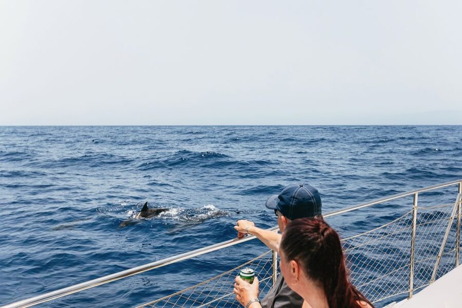 Costa Adeje: Whale Watching Catamaran Tour with Drinks - Leaving Puerto Colon on a 2-hour catamaran