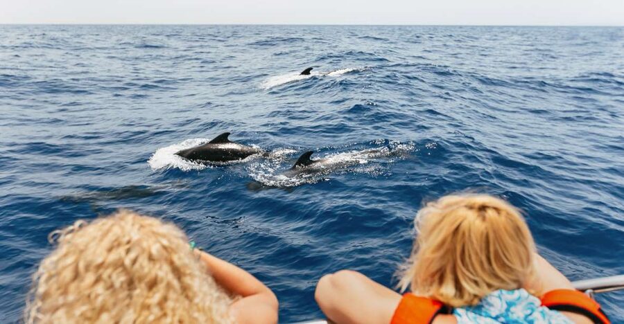 Costa Adeje: Whale Watching Catamaran Tour with Drinks - The crew, explanations, and onboard atmosphere