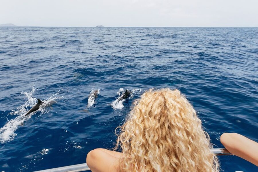 Costa Adeje: Whale Watching Catamaran Tour with Drinks - Seasickness, children, and practical comfort