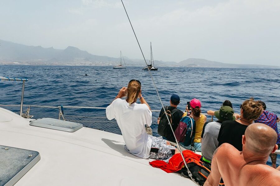Costa Adeje: Whale Watching Catamaran Tour with Drinks - The environmental rules are part of the experience