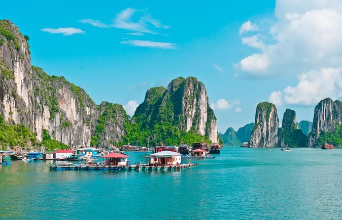 CozyBay Cruise-The Best Small Group 2D/1N inHalong-All inclusive - Key points to know before booking