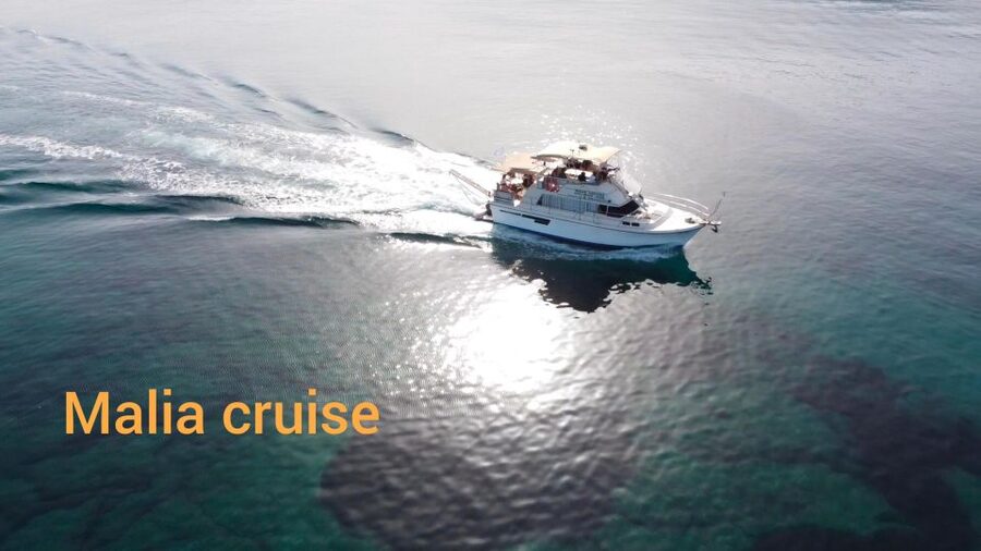 Crete: Snorkeling Boat Trip with Lunch and Transfer - Crew Service and Group Size