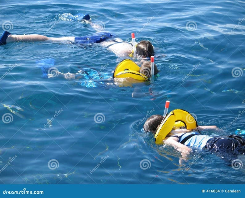 Crete: Snorkeling Boat Trip with Lunch and Transfer - What the $81 Price Really Buys You