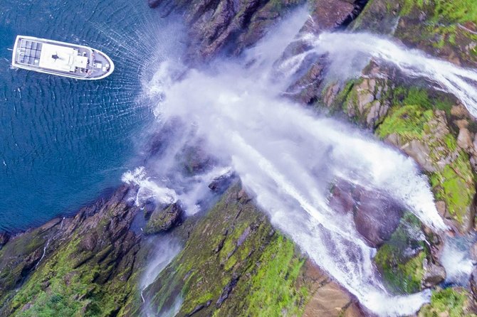 Cruise Milford NZ Small Boutique Cruise Experience - Key points before you book