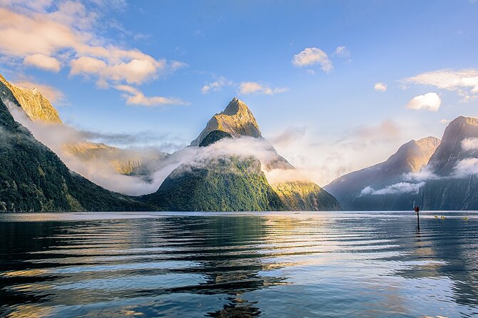 Cruise Milford NZ Small Boutique Cruise Experience - Families, older passengers, and mobility concerns