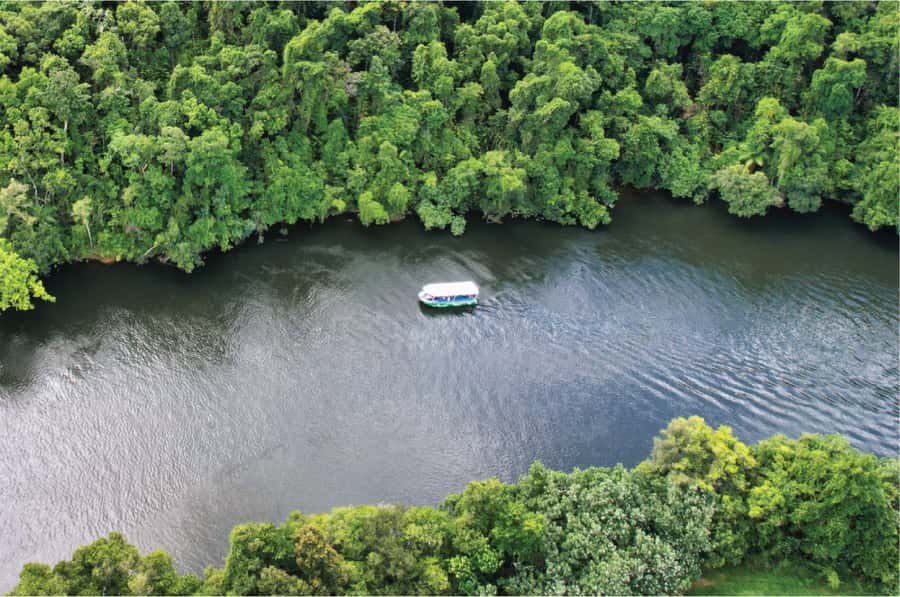 Daintree: River Rainforest Crocodile & Wildlife Cruise (DV) - Who should book this cruise