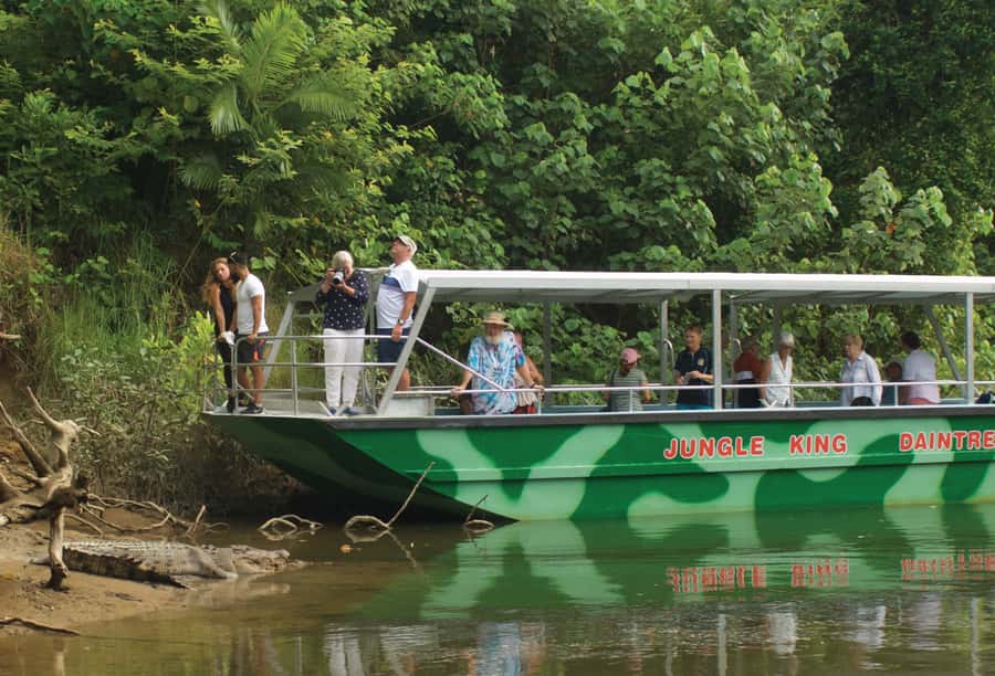 Daintree: River Rainforest Crocodile & Wildlife Cruise (DV) - Why taking both routes is worth it