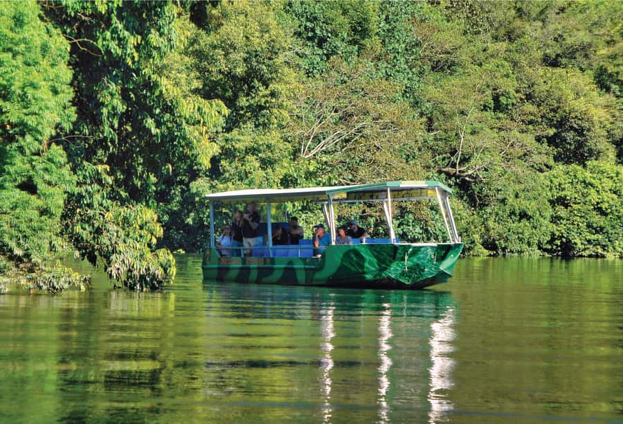 Daintree: River Rainforest Crocodile & Wildlife Cruise (DV) - Upper Daintree: the village route