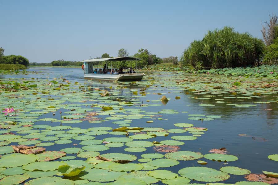Darwin: Mary River Wetlands Wildlife Cruise with Lunch - Why the Mary River cruise is worth your day