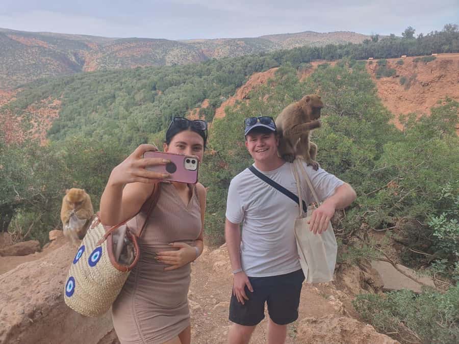 Day Trip To Ouzoud Waterfalls (Guide Hik & Boat option) - Timing, Transport, and Group Comfort