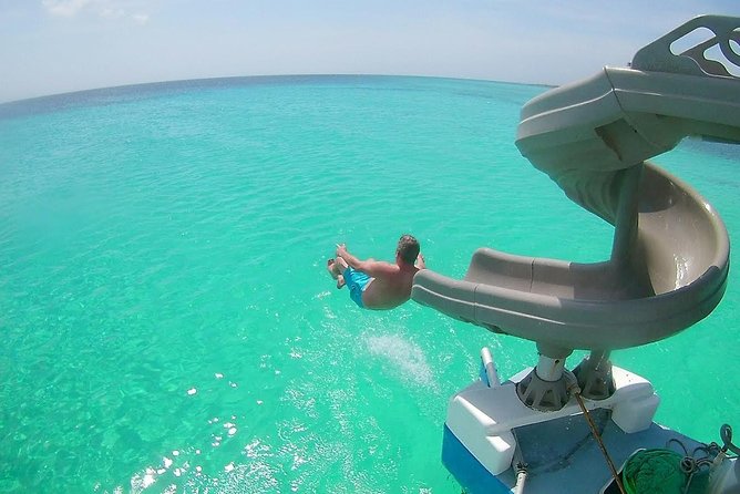 Dolphin Catamaran Snorkel and Sail with Open Bar - Sailing The Dolphin from Noord