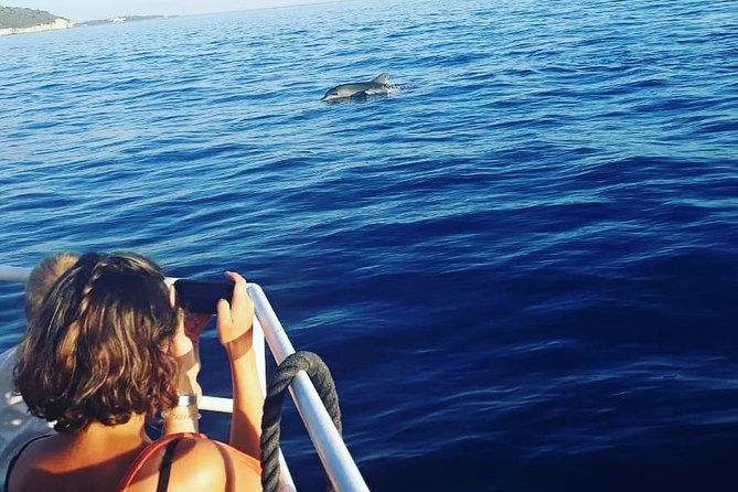 Dolphin Watching & Sunset Boat Tour With Dinner and Drinks - What the group size feels like