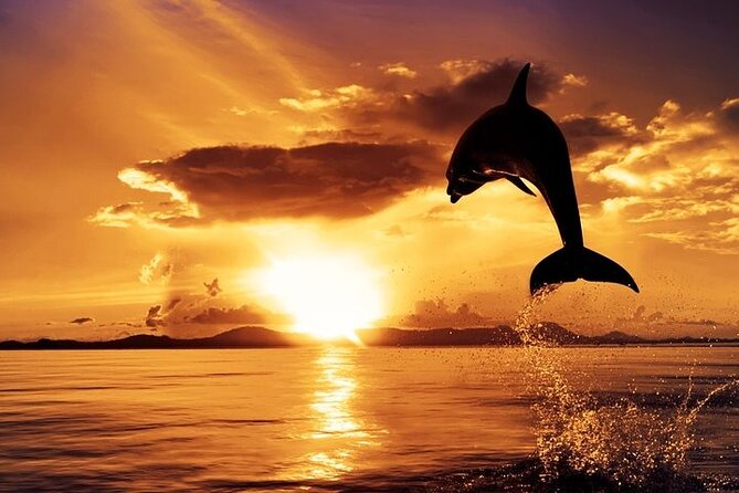 Dolphin Watching & Sunset Boat Tour With Dinner and Drinks - Peneda lighthouse and the southern Brijuni islands
