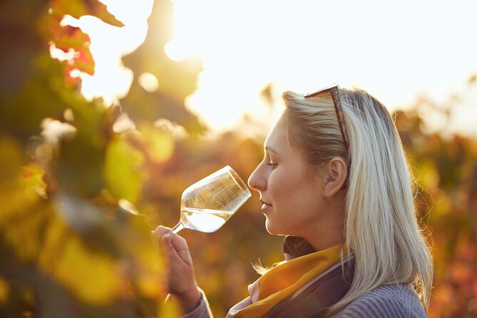 Douro Valley: Historical Sites, Wine Experience, Lunch & Cruise - What the guide can add to the day