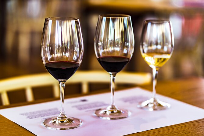 Douro Valley: Historical Sites, Wine Experience, Lunch & Cruise - The N222 road into Portugal’s wine country