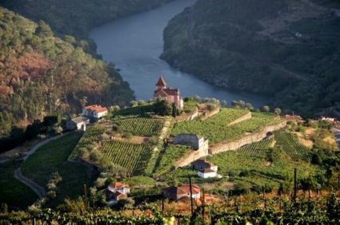 Douro Valley Small-Group Tour with Wine Tasting, Lunch and Boat - Key Points at a Glance