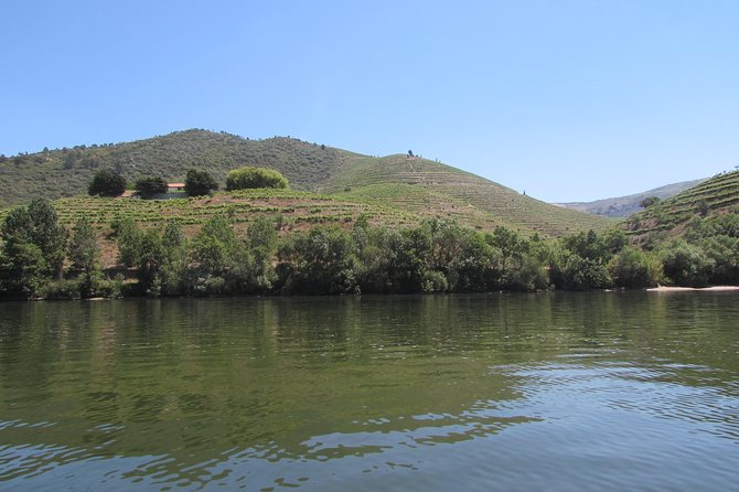 Douro Valley Tour: 2 Vineyard Visits, River Cruise, Winery Lunch - A family winery near Lamego