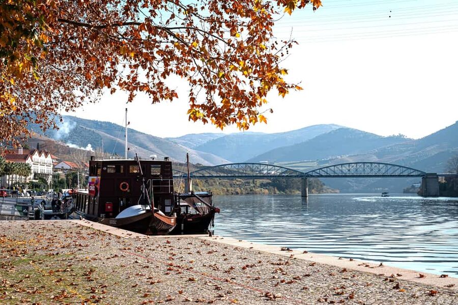 Douro Valley Tour: Visit 2 Wineries, Lunch & River Cruise - Key points to know before booking