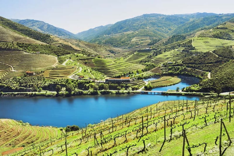 Douro Valley Tour: Visit 2 Wineries, Lunch & River Cruise - Why this Douro day works so well
