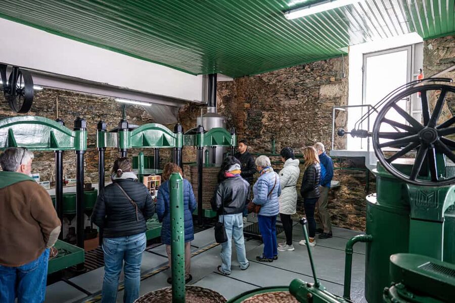 Douro Valley Tour: Visit 2 Wineries, Lunch & River Cruise - A traditional lunch, not a rushed snack