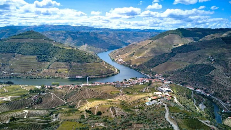 Douro Valley Tour: Visit 2 Wineries, Lunch & River Cruise - The N222 return and the best photo stops