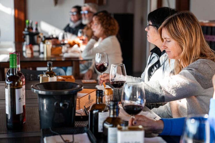 Douro Valley Tour: Visit 2 Wineries, Lunch & River Cruise - The guide is the biggest variable