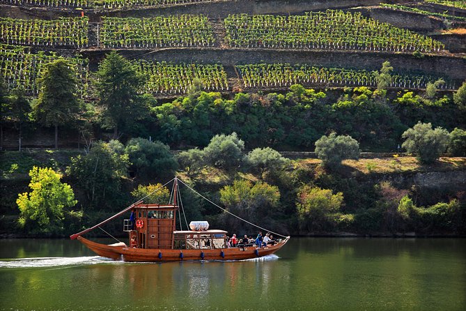 Douro Valley Tour: Wine Tasting, Cruise and Lunch from Porto - The first tasting and what to expect from port