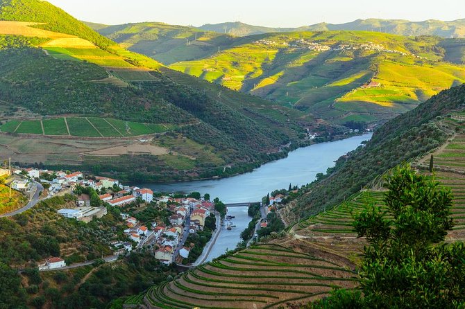 Douro Valley Tour: Wine Tasting, Cruise and Lunch from Porto - Lunch with three choices