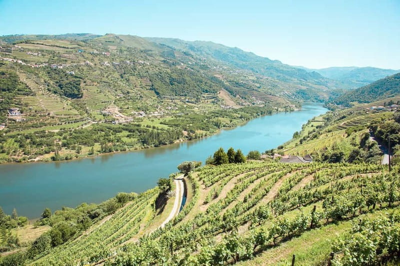 Douro Valley: Tour with Wine Tastings, Lunch, and Boat Ride - A full day from Porto into the Douro
