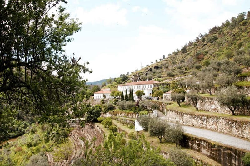 Douro Valley: Tour with Wine Tastings, Lunch, and Boat Ride - The drive back to Porto