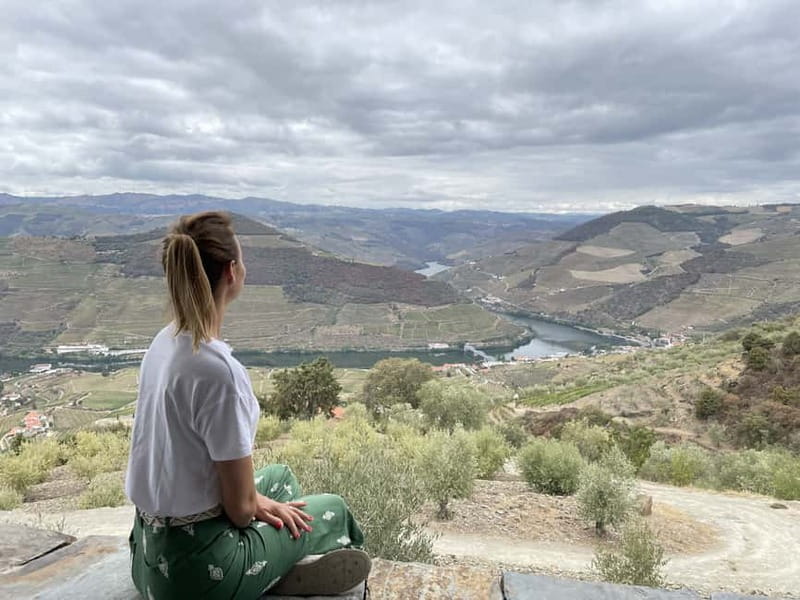 Douro Valley: Tour with Wine Tastings, Lunch, and Boat Ride - Is the $169 price fair?