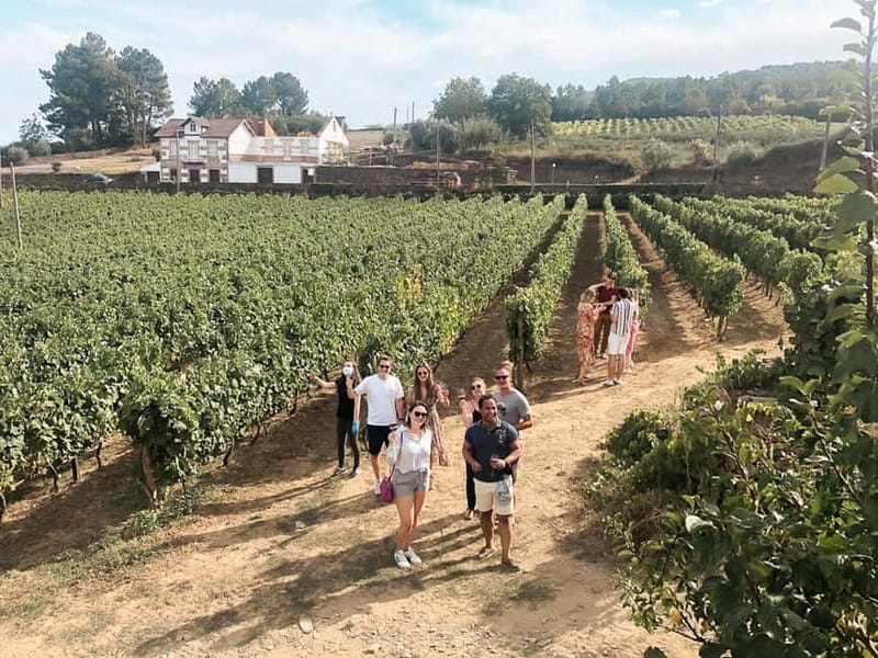 Douro Valley: Tour with Wine Tastings, Lunch, and Boat Ride - The first estate and the story of Port wine