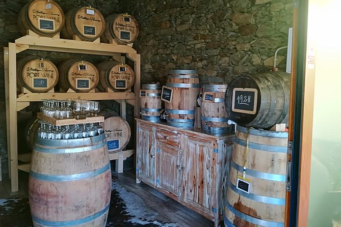 Douro Valley with Two Winery, Boat Trip and Lunch From Porto - The first winery and the Port lesson