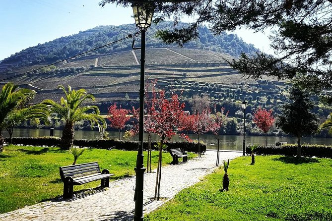 Douro Valley with Two Winery, Boat Trip and Lunch From Porto - Lunch in Tabuaço