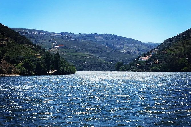 Douro Valley with Two Winery, Boat Trip and Lunch From Porto - Scenic roads and the final viewpoint