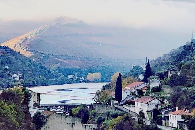 Douro Valley with Two Winery, Boat Trip and Lunch From Porto - What the $167 price really covers