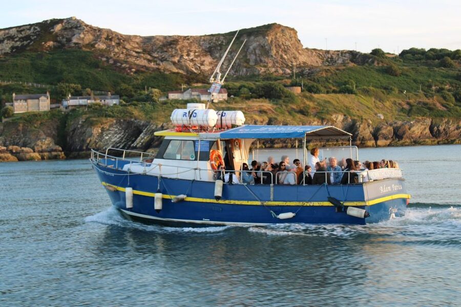 Dublin: Howth Cliffs and Lighthouse Cruise - Key points to know before you book