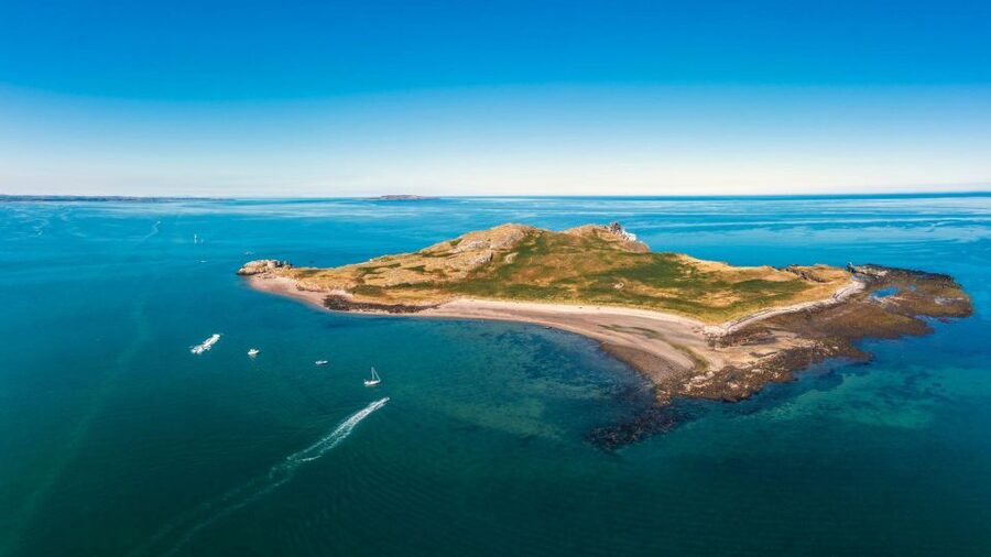 Dublin: Howth Cliffs and Lighthouse Cruise - Wildlife around the cliffs and harbor